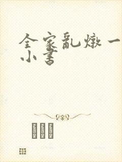全家乱炖一锅烩小书