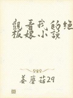 观看我的绝色老板娘小说