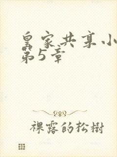 皇家共享小公主第5章封面