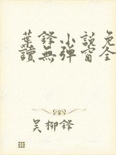 叶锋小说免费阅读无弹窗全文