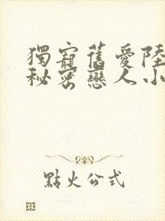 独宠旧爱陆少的秘密恋人小说全文免费阅读