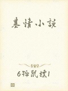 基情小说
