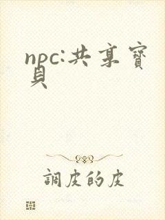 npc:共享宝贝