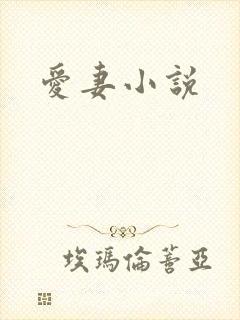 爱妻小说