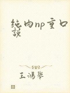 纯肉np重口小说