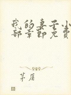 我的妻子小静全部章节免费阅读