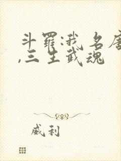 斗罗:我名唐四,三生武魂
