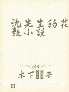 沈先生的花式调教小说