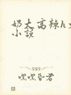 奶大高辣h文乳小说封面