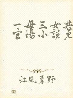 一母三女共一婿官场小说免费阅读