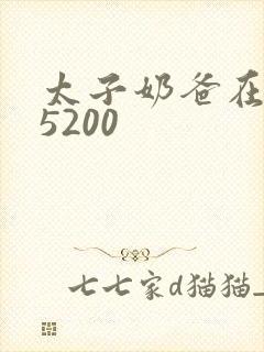 太子奶爸在花都5200封面