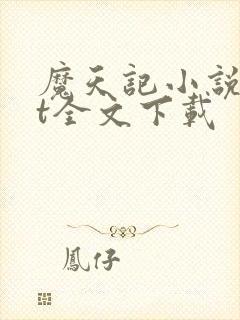 魔天记小说txt全文下载