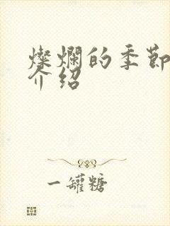 灿烂的季节剧情介绍