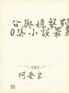 公与媳系列100集小说最新章节更新内