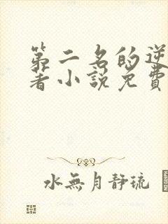 第二名的逆袭原著小说免费阅读