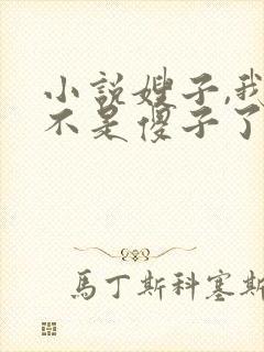 小说嫂子,我真不是傻子了免费阅读封面