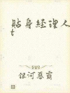 贴身经理人txt封面