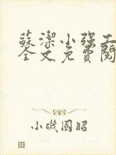 苏洁小强工地情全文免费阅读