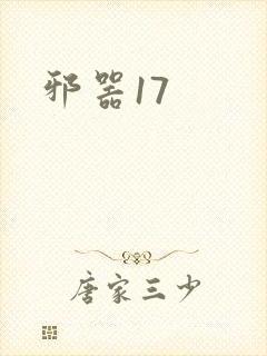 邪器17封面
