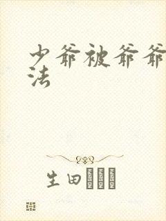 少爷被爷爷打家法