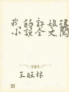 我的许姐很温柔小说全文阅读封面