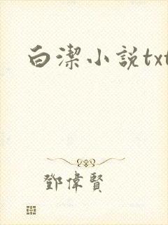 白洁小说txt