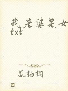我老婆是女学霸txt