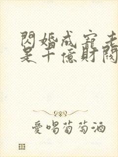 闪婚成宠老公竟是千亿财阀小说