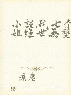 小说,我七个姐姐绝世无双封面