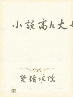小说高h大奶