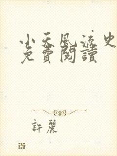小天风流史全文免费阅读