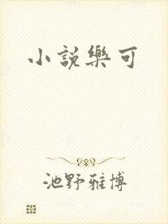 小说乐可封面