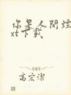 你是人间烟火txt下载封面