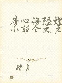 唐心洛陆煜宸的小说全文免费阅读