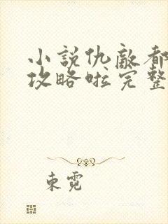 小说仇敌都被我攻略啦完整版未删减小说