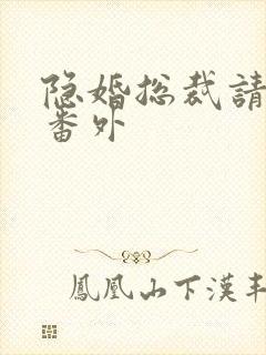 隐婚总裁请签字番外