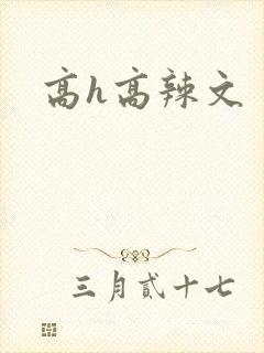 高h高辣文