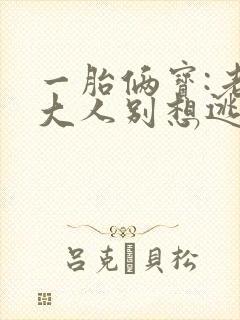 一胎俩宝:老婆大人别想逃封面
