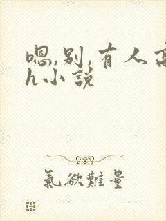 嗯,别,有人高h小说
