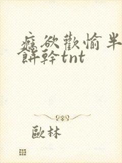 瘾欲欢愉半块小饼干tnt