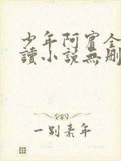 少年阿宾全文阅读小说无删减