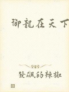 御龙在天下载