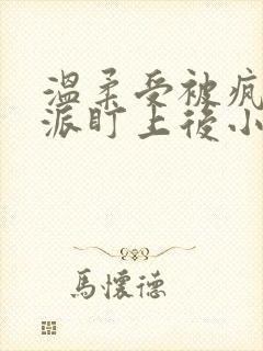 温柔受被疯批反派盯上后小说免费阅读