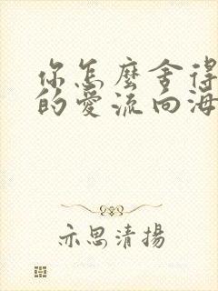 你怎么舍得让我的爱流向海封面