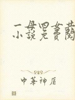 一母四女共一婿小说免费阅读老婆的封面