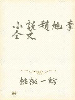 小说赵旭李晴晴全文封面