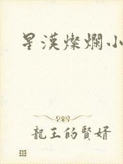 星汉灿烂小说