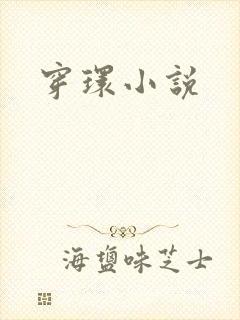 穿环小说