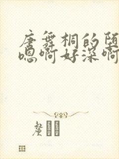 唐舞桐的堕落H嗯啊好深啊封面