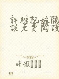 许维阮婉隔壁小说免费阅读